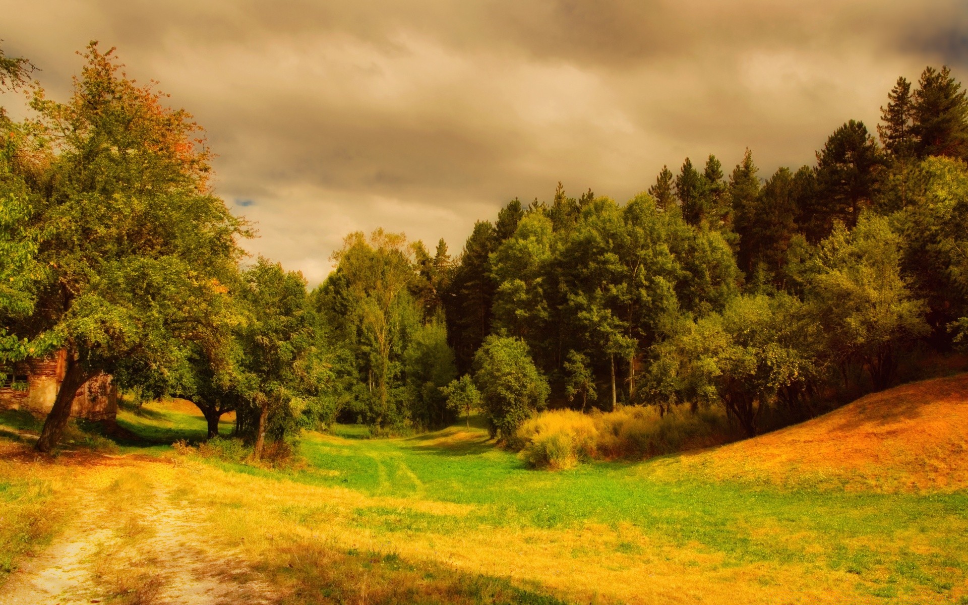 bosque árbol paisaje naturaleza al aire libre hierba madera amanecer otoño escénico cielo campo verano buen tiempo parque puesta de sol rural sol medio ambiente hoja