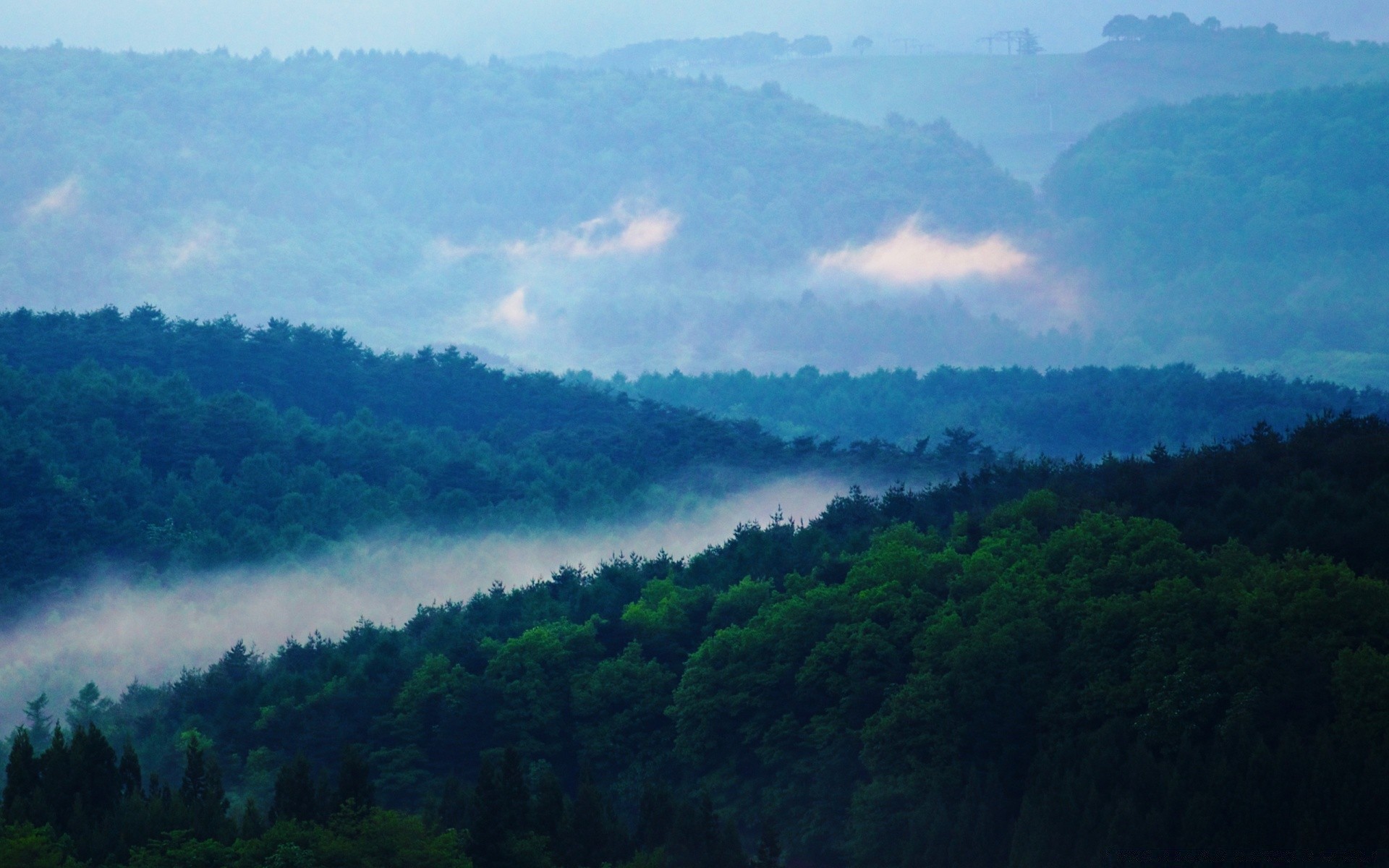 foresta paesaggio albero nebbia natura cielo montagna luce del giorno viaggi nebbia all aperto collina foresta pluviale estate alba scenic nube legno