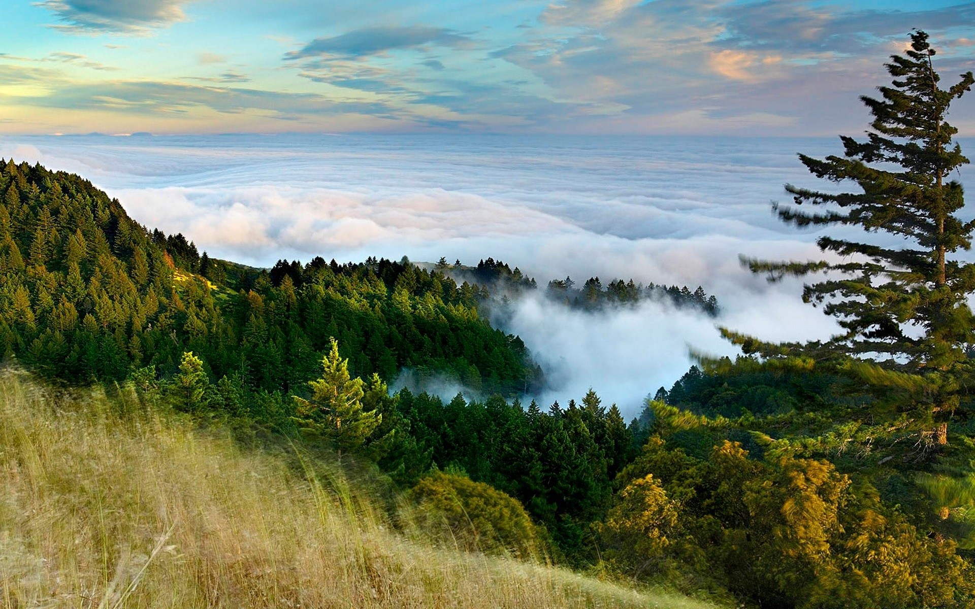 wald landschaft natur baum himmel im freien reisen herbst landschaftlich berge holz sonnenuntergang dämmerung gras wolke tageslicht sommer gutes wetter hügel