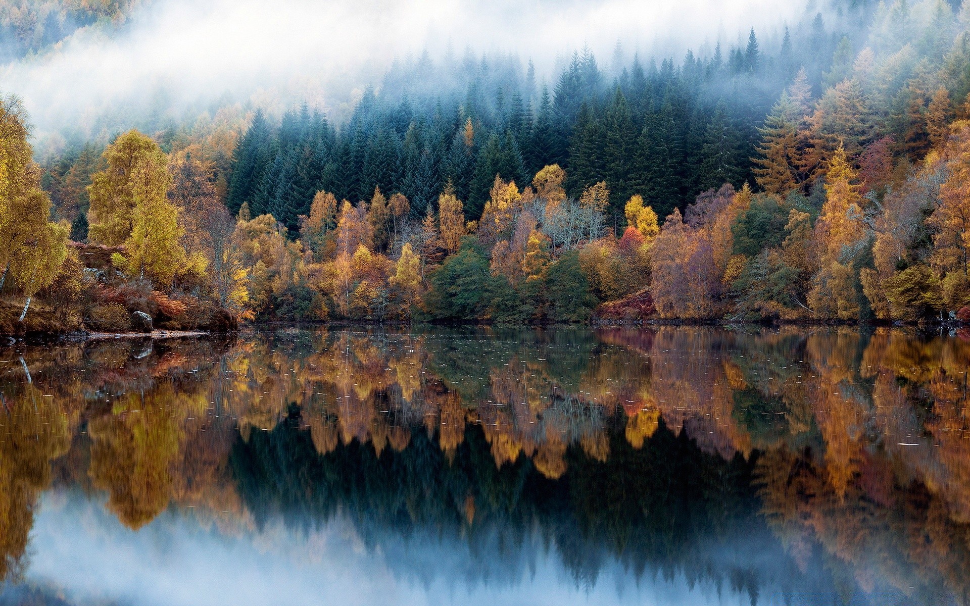 forest fall water landscape tree wood scenic reflection river lake nature outdoors daylight mountain travel environment park season leaf