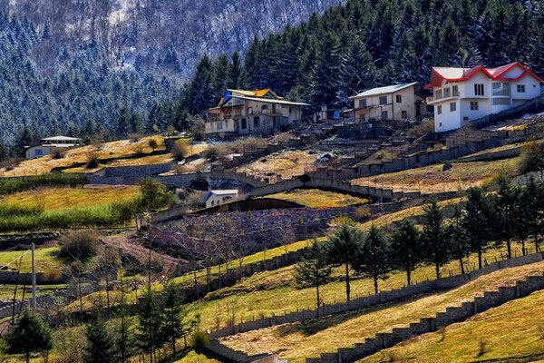 Maison sur la belle nature dans les montagnes