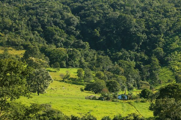 Landschaft der schönen ländlichen Ebene