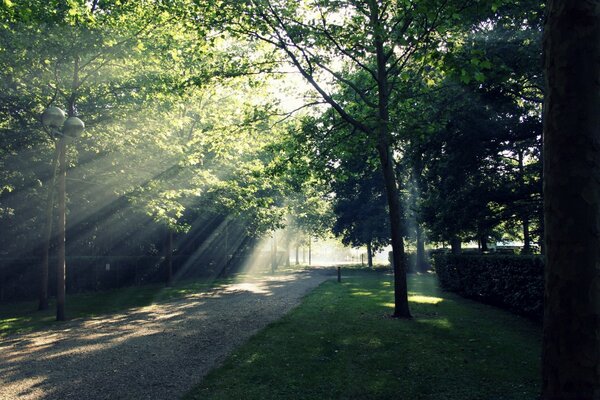 Der Weg zum Park ist von der Sonne beleuchtet