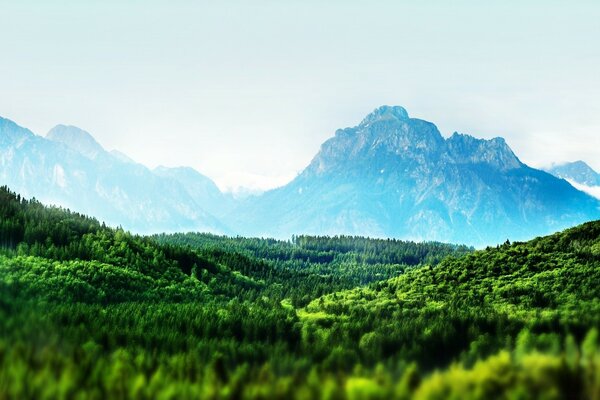 Grüne Wiese vor dem Hintergrund der Berge im Nebel