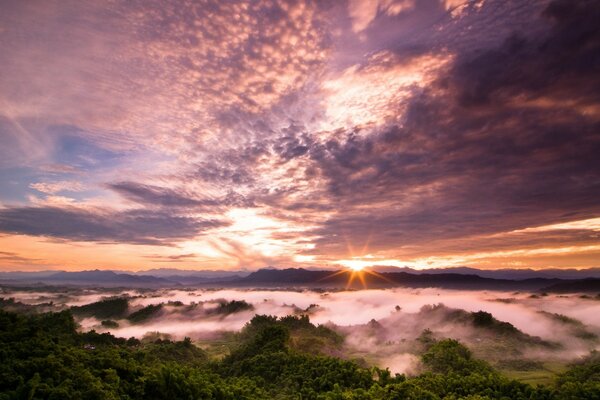 Sunset in the forest with a beautiful sky