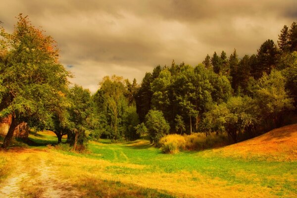 Autumn landscape with a road among trees