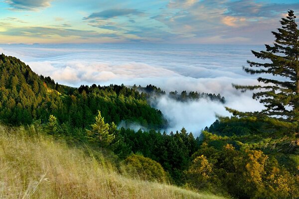 The image of nature at the height of the mountains