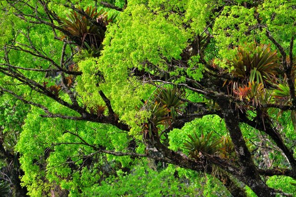 Il rumore della foresta ti fa fermare e pensare molto