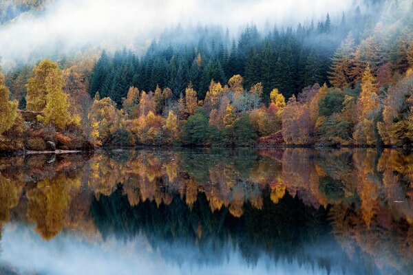 Foggy morning by the lake