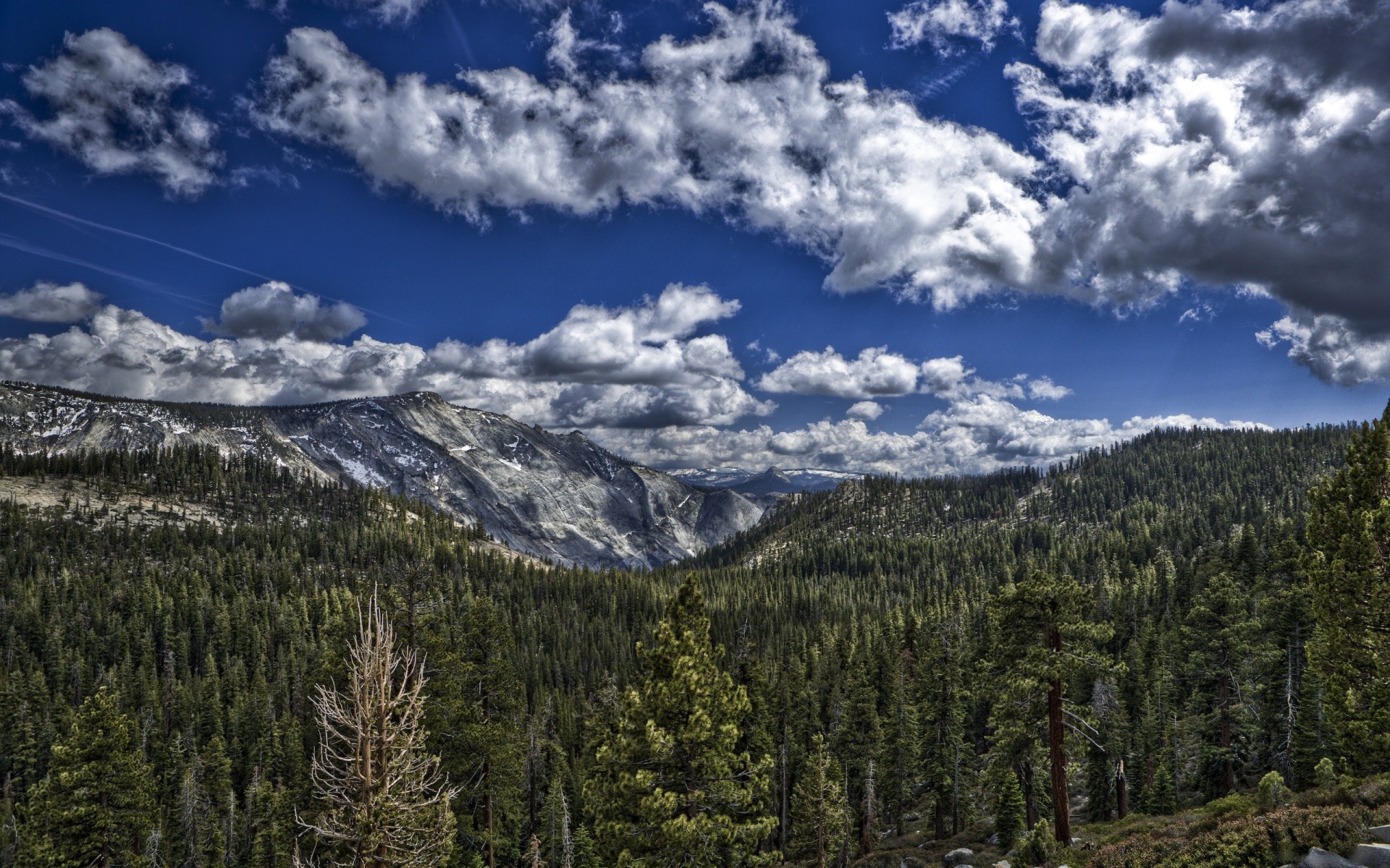 forest mountain wood snow landscape nature scenic tree mountain peak evergreen conifer sky travel valley outdoors hill high sight pine