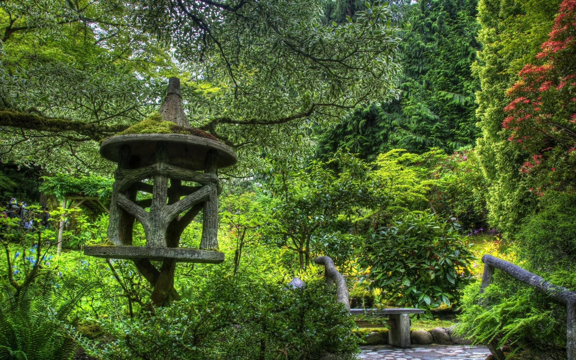 floresta madeira árvore parque natureza jardim folha paisagem ao ar livre viagens verão flora ponte cênica água luz do dia exuberante madeira grama ambiente