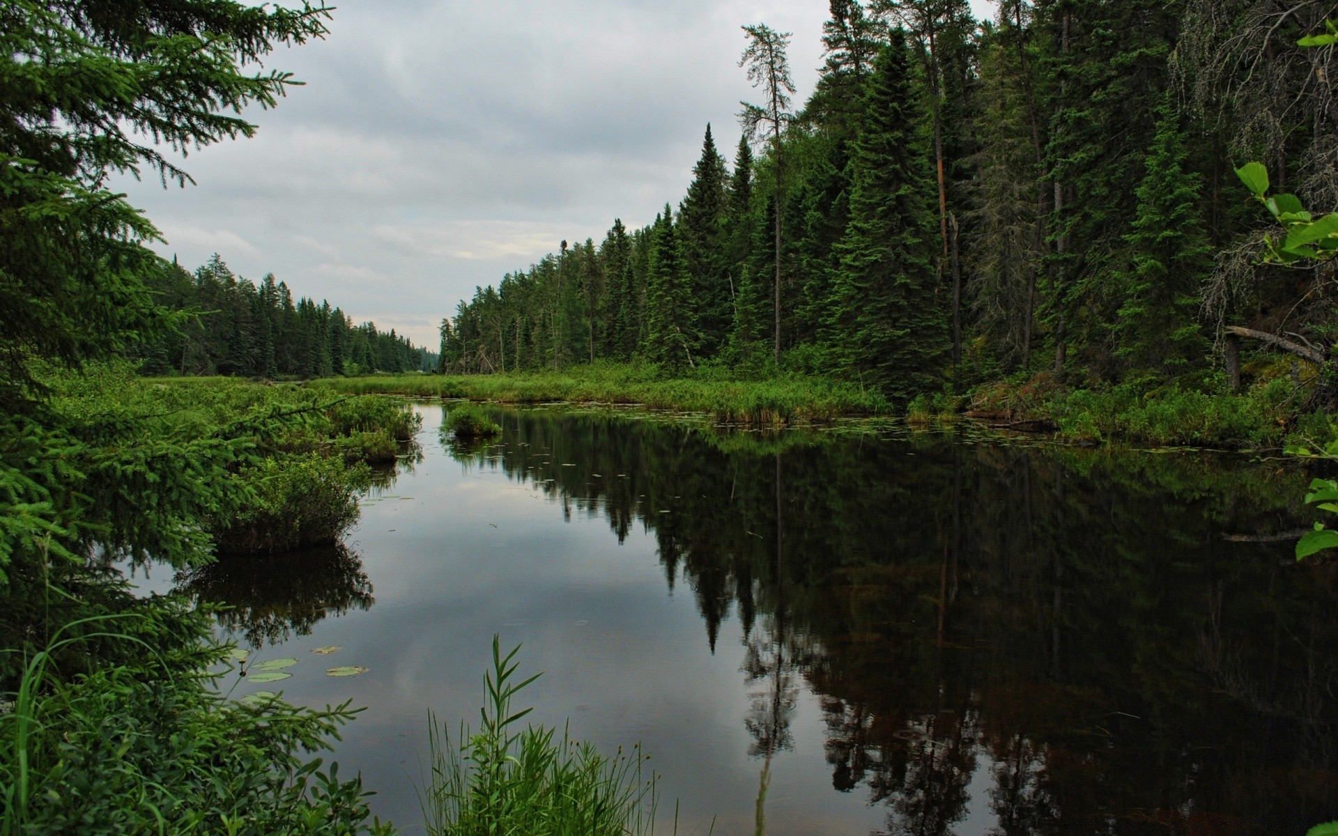 forest water outdoors lake landscape nature reflection tree wood river travel conifer sky evergreen dawn daylight summer