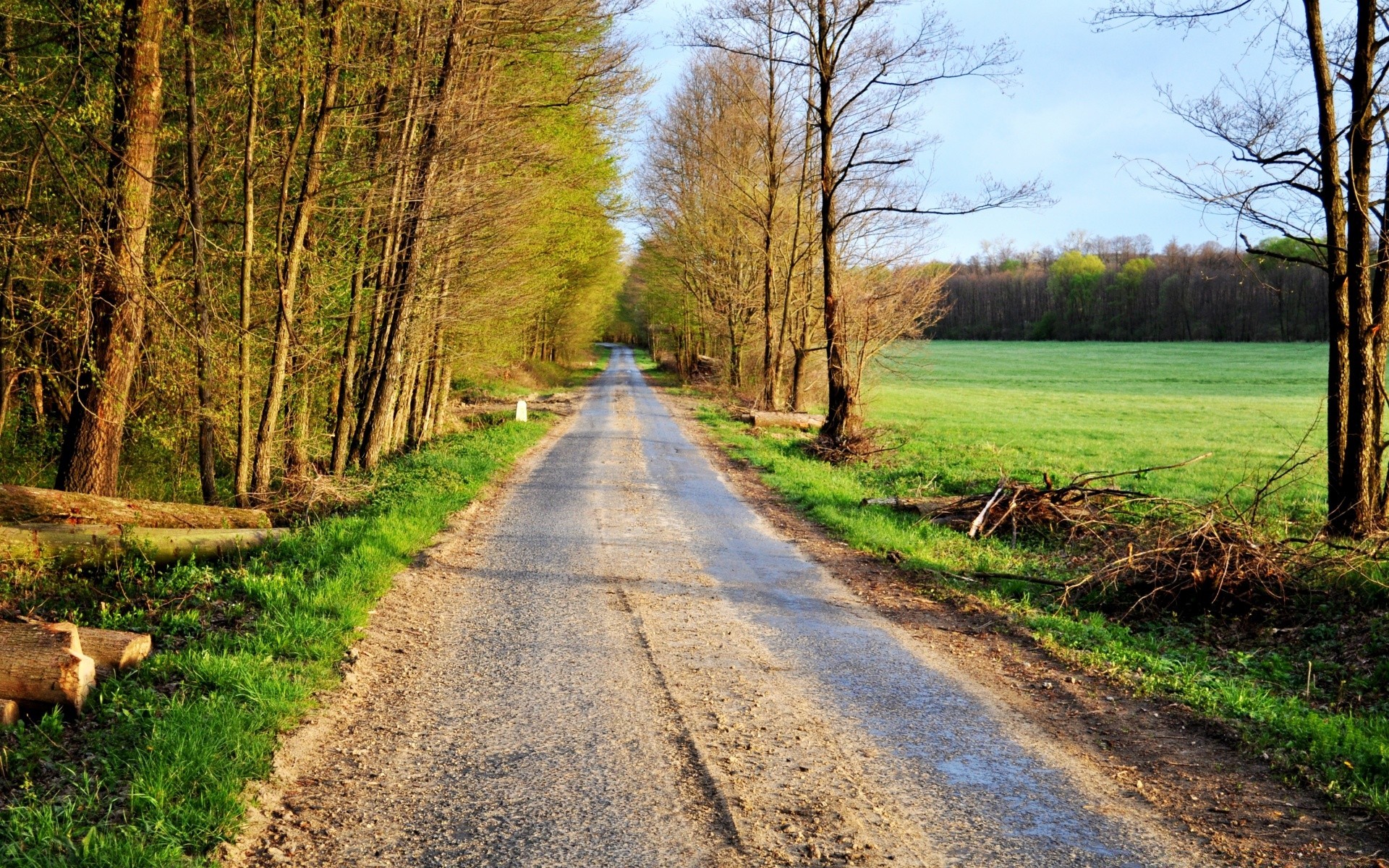 forêt bois route paysage arbre nature manuel rural automne feuille herbe campagne saison à l extérieur pays parc scénique environnement scène beau temps