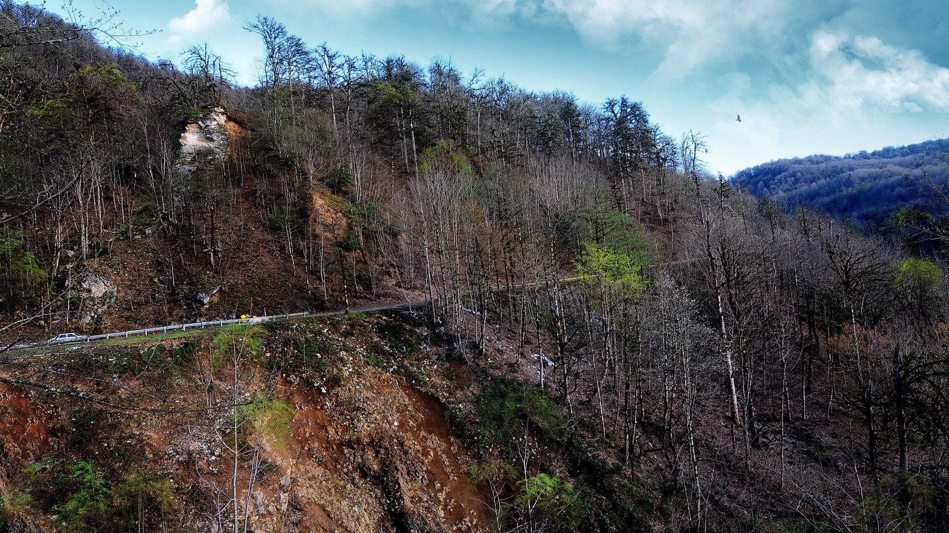 forest nature landscape wood tree mountain travel outdoors sky rock fall scenic water environment