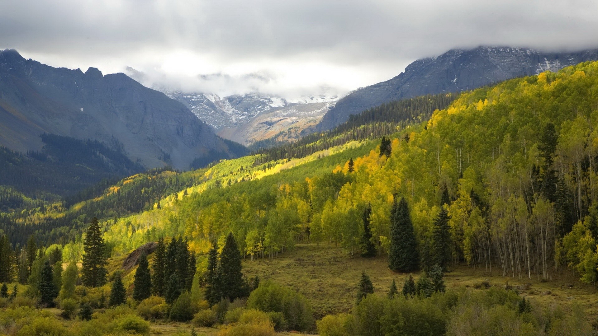 forest wood mountain landscape nature scenic outdoors tree travel fall valley sky daylight conifer snow hill evergreen