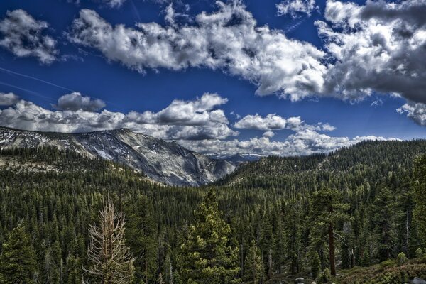 Mountains and forest on the background of clouds