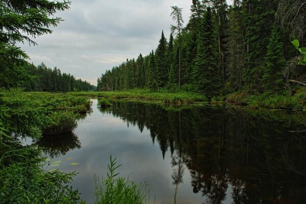 Beautiful scenic view of the lake