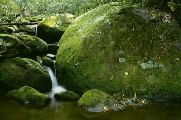 Pequeña cascada con rocas y mi musgo