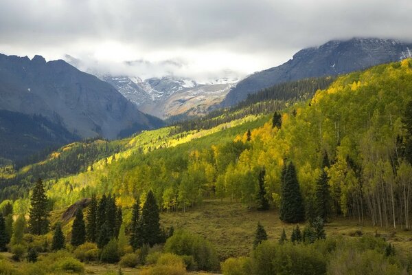 Paisaje de montaña en el fondo del bosque