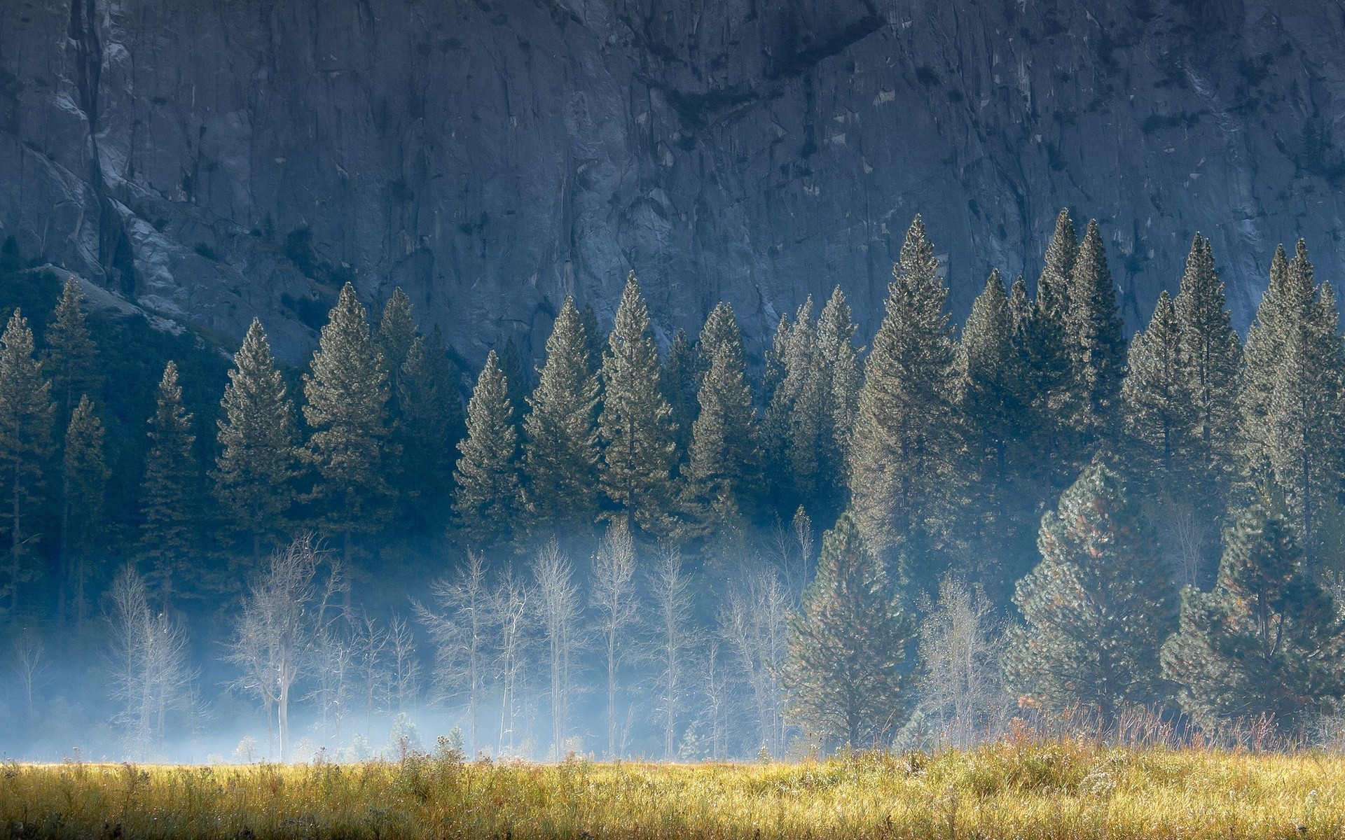 wald im freien natur holz holz landschaft herbst dämmerung nadelbaum himmel nebel schnee wasser landschaftlich landschaft nebel reisen gutes wetter tageslicht winter