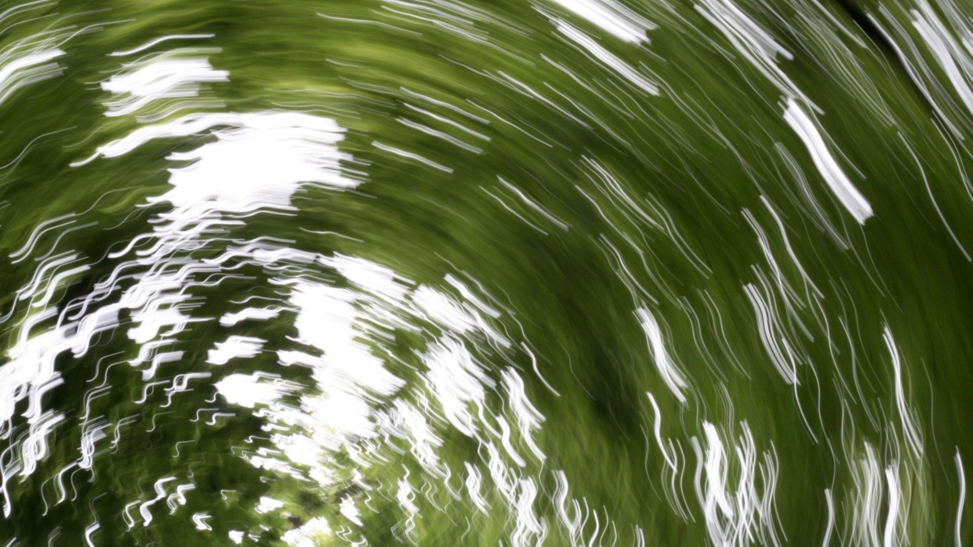 foresta acqua bagnato natura foglia pioggia caduta astratto desktop struttura ambiente pulizia