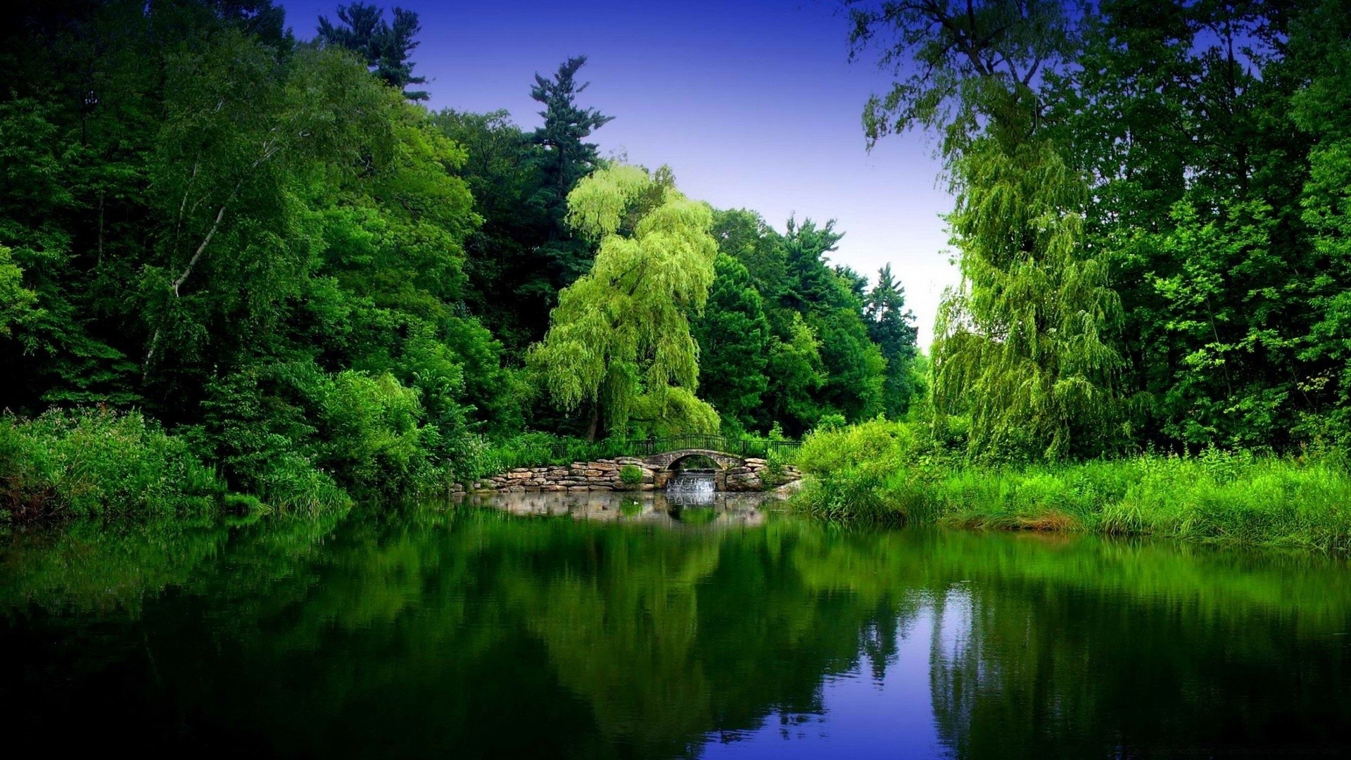 lake nature tree landscape water wood river summer park grass outdoors pool reflection leaf scenic sky environment flora