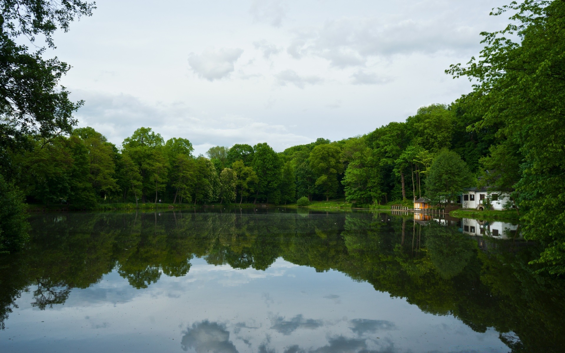 lake water tree landscape river nature reflection outdoors wood summer pool daylight sky scenic park environment travel canal grass