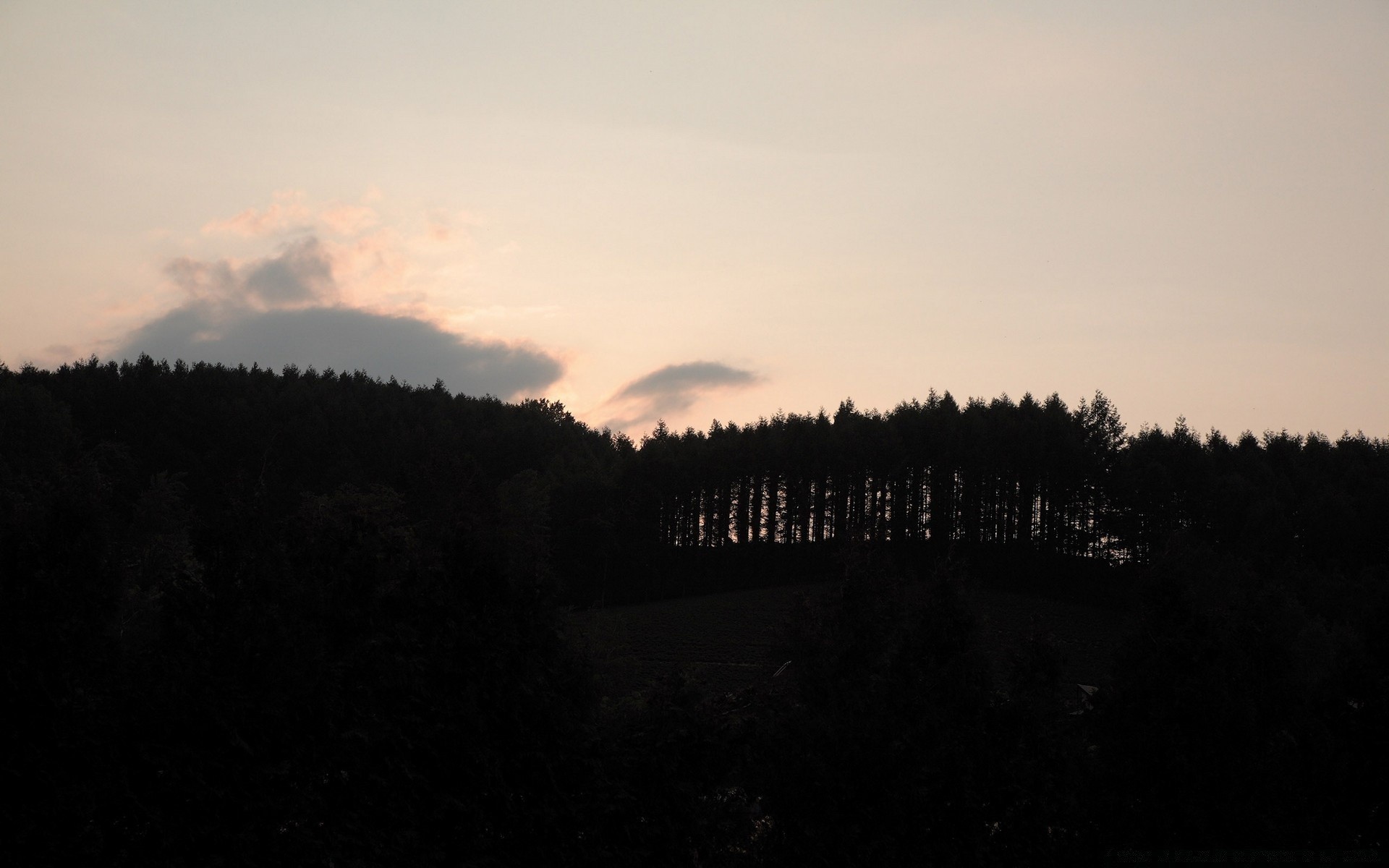 wald sonnenuntergang nebel dämmerung baum landschaft nebel licht abend himmel herbst dämmerung winter natur im freien silhouette schnee hintergrundbeleuchtung mond berge