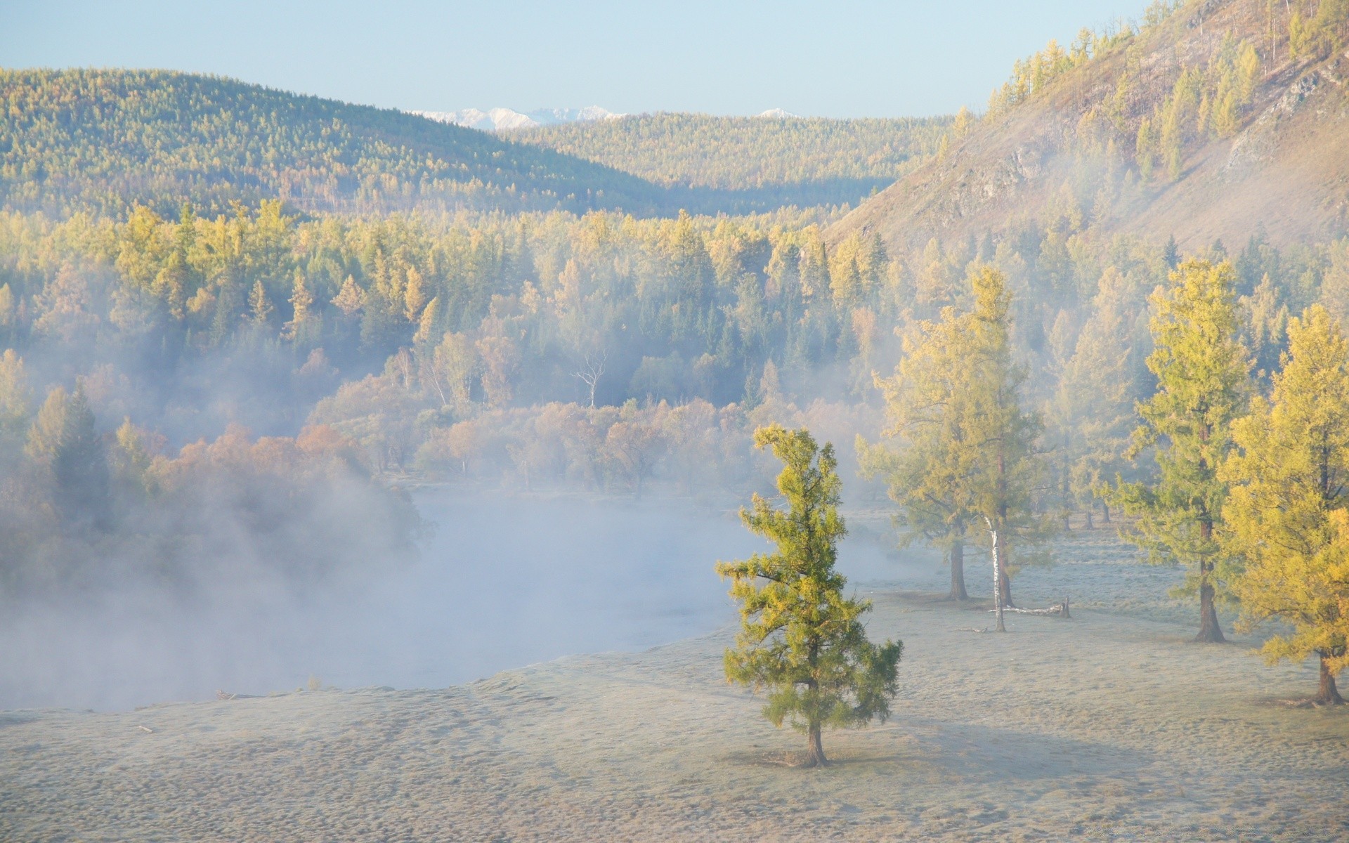 forêt paysage arbre automne scénique brouillard à l extérieur bois montagne voyage nature lumière du jour brouillard ciel eau aube parc colline lac