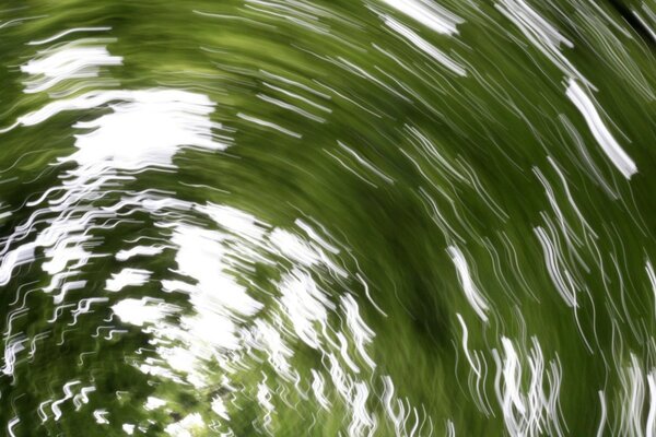 The reflection of the forest is blurred by water