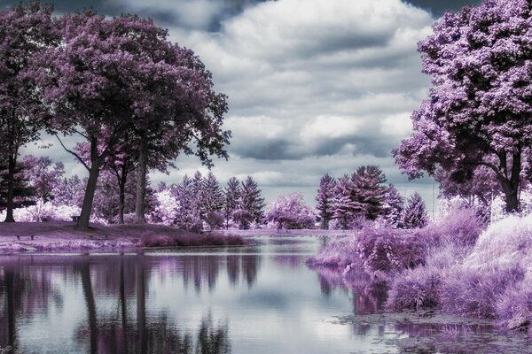 Flowering season on the river