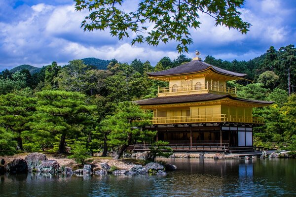 Japanese tent in the forest thicket of wood filled with water