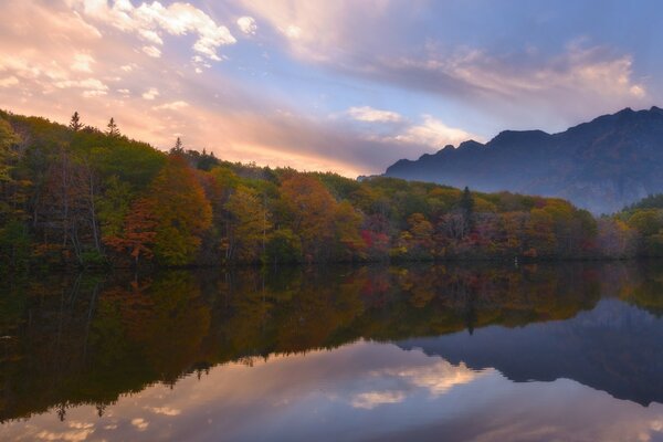 Herbstfarben der Natur in Wasserreflexion