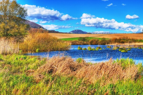 Sommerlandschaft des Feldes mit Fluss