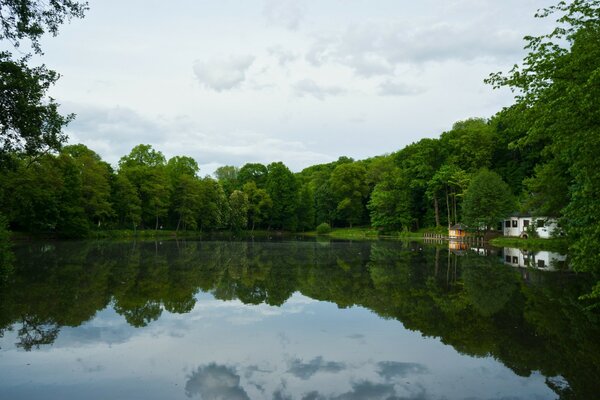 A lonely house in the woods by the water