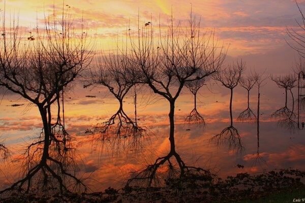 Sunset over the lake landscape