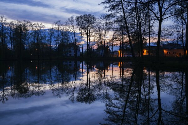 Reflexão do pôr do sol na paisagem do lago da floresta