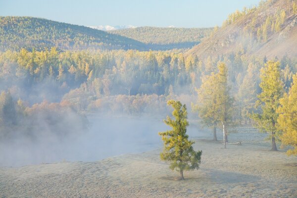 La bella natura è visibile lontano