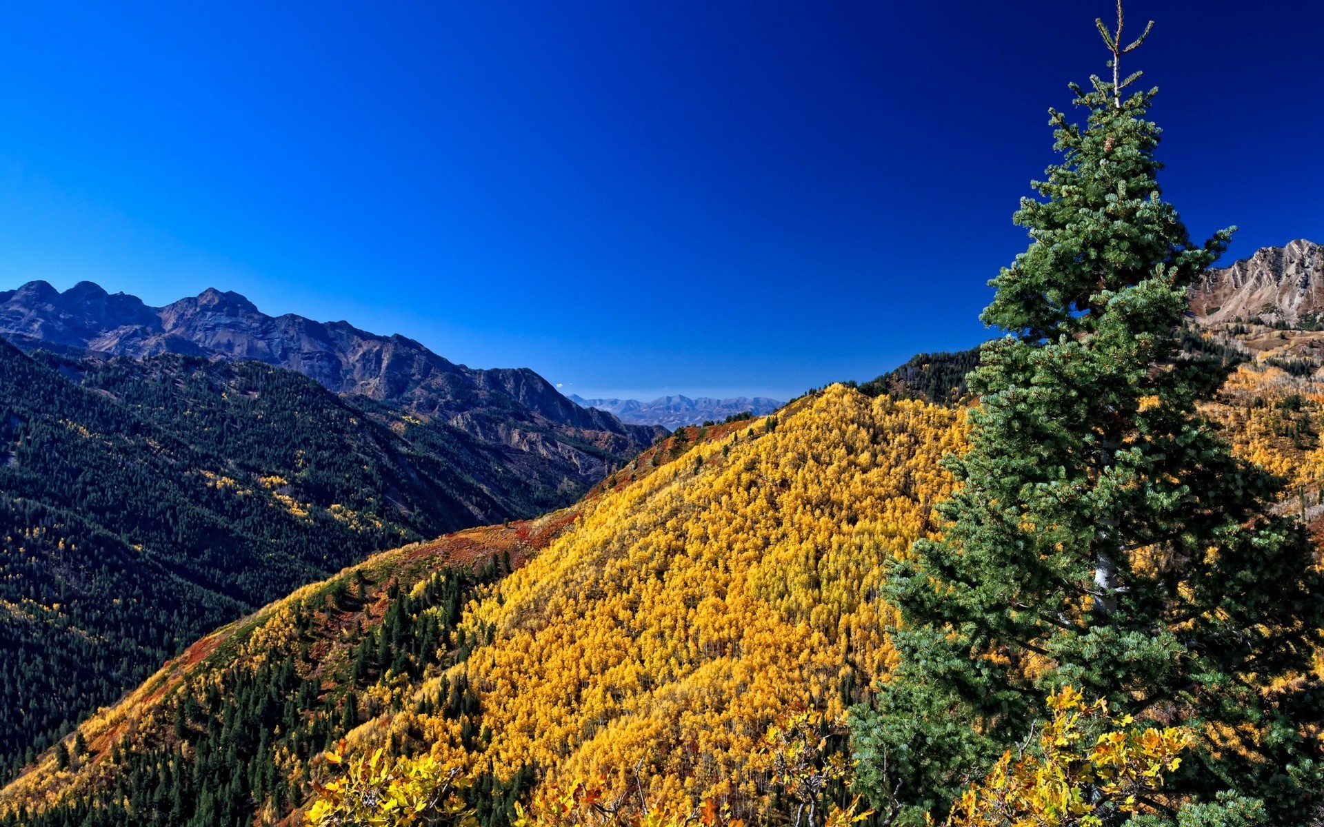 景观 户外 木材 山 树 景观 风景 旅游 秋天 日光 自然 针叶树 天空 山谷