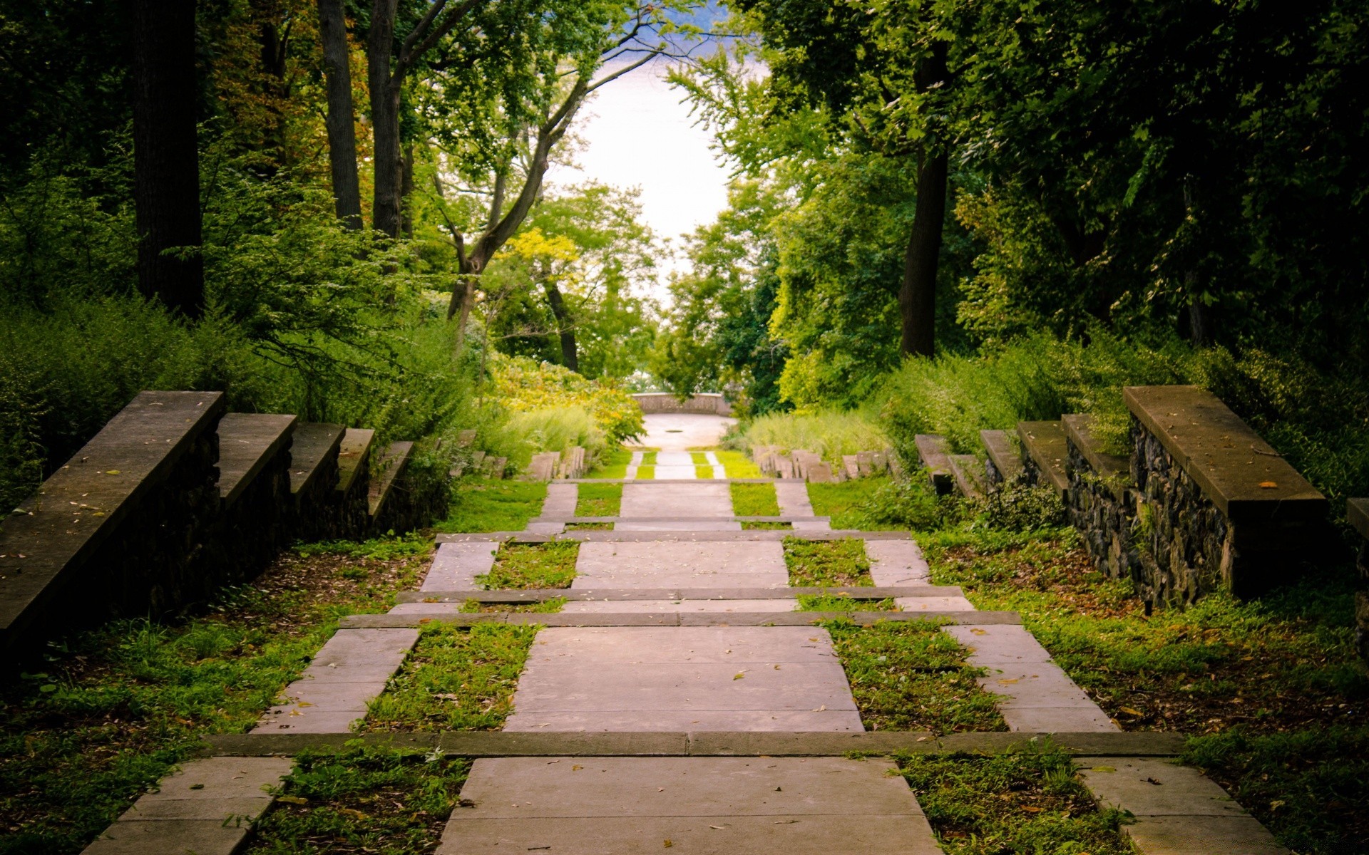 paesaggio guida albero strada di legno paesaggio parco giardino erba all aperto natura percorso foglia di viaggio