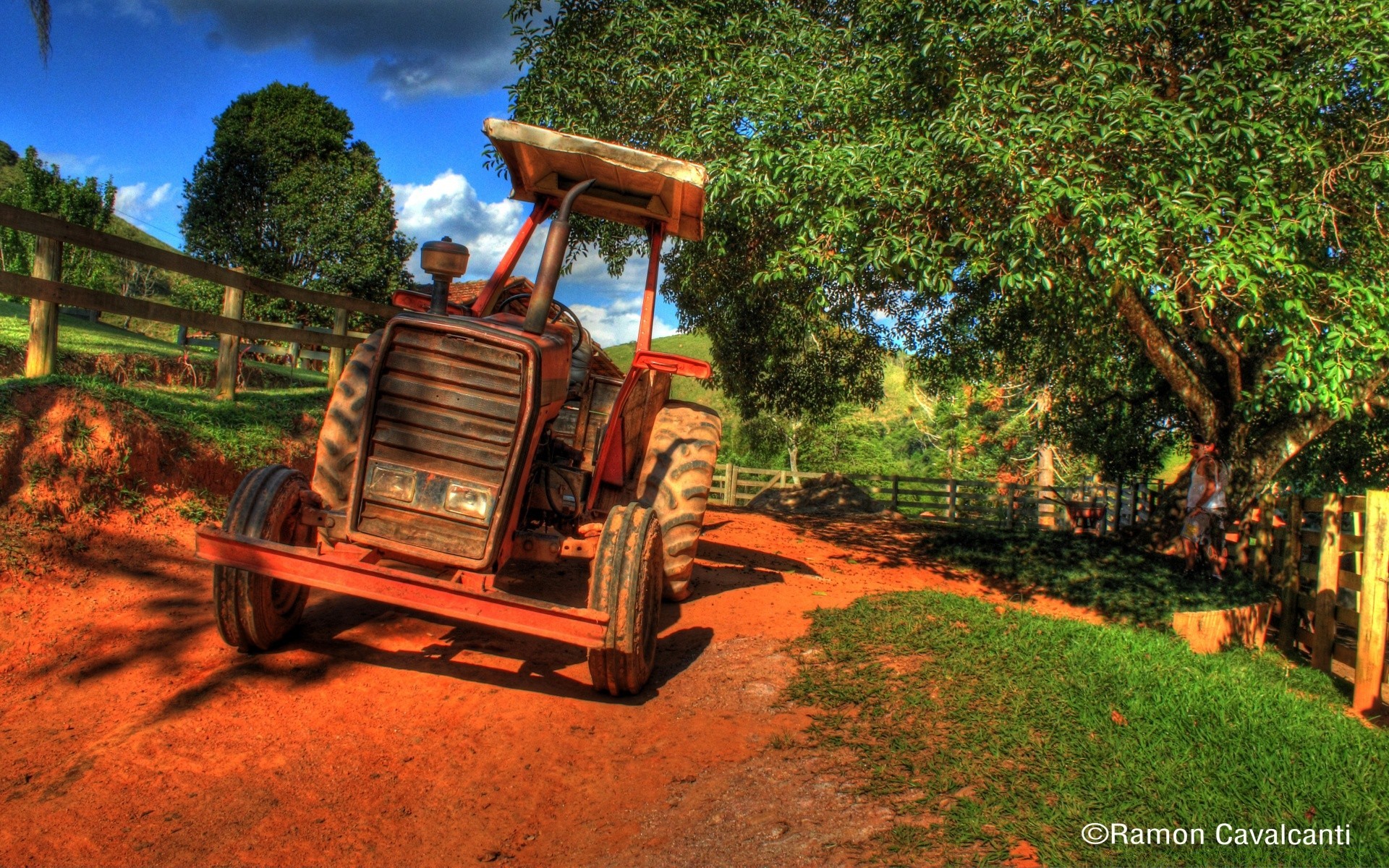 paysage extérieur bois bois système de transport route