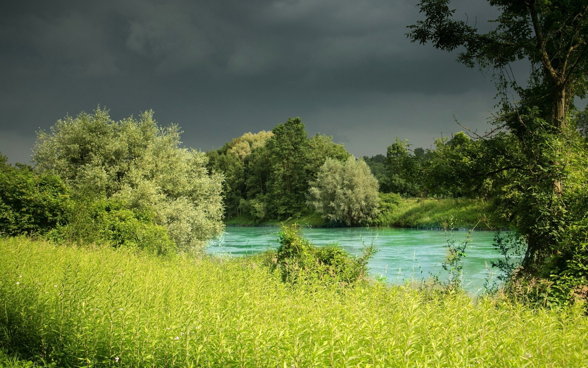 landscapes landscape tree nature water grass summer wood lake outdoors sky river reflection scenic rural idyllic hayfield countryside environment sight