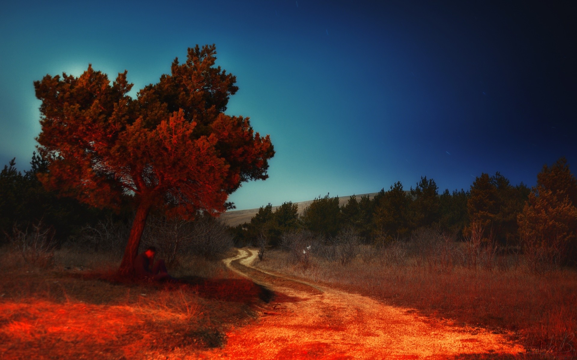 paesaggio albero paesaggio all aperto alba autunno tramonto sera scenico