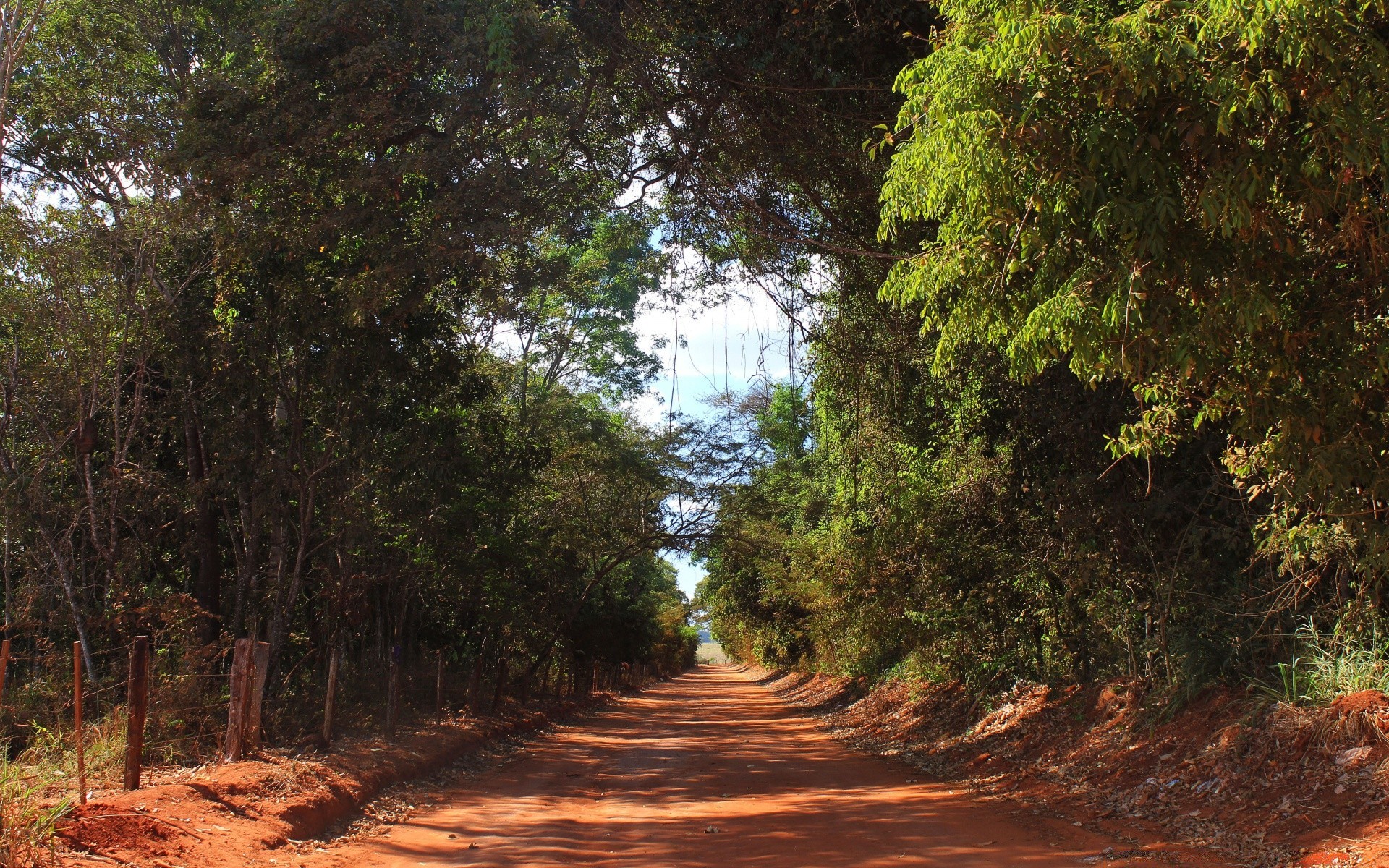 paisaje árbol paisaje naturaleza madera al aire libre hoja carretera viajes medio ambiente parque escénico guía flora luz buen tiempo exuberante verano