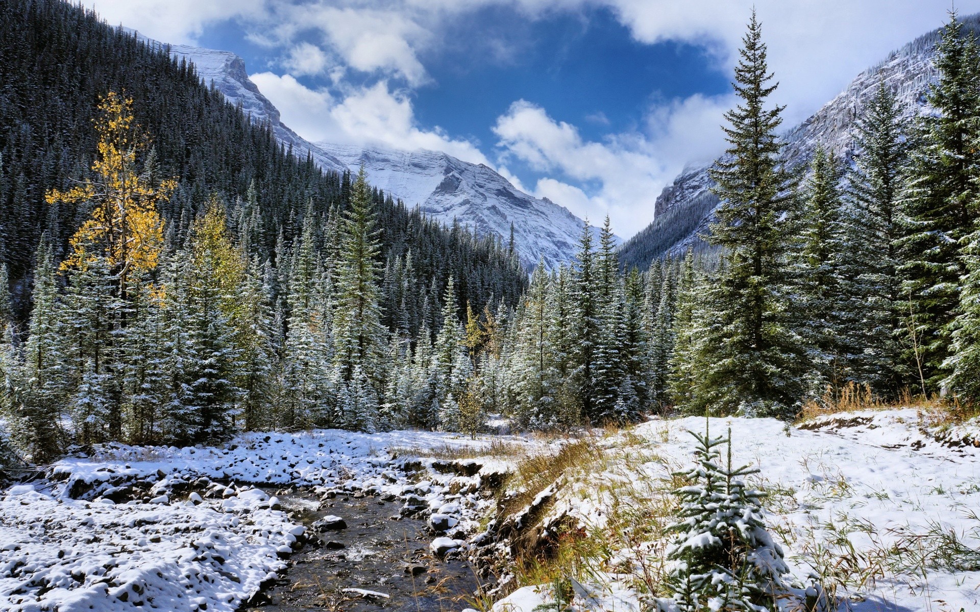 landschaft schnee holz berge landschaft landschaftlich winter baum natur kälte evergreen im freien saison nadelbaum wild park gutes wetter eis szene