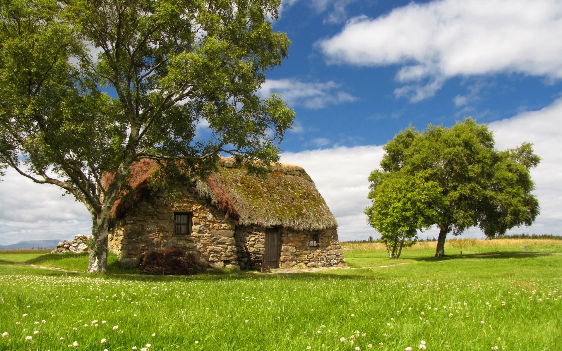 landscapes tree grass landscape nature sky summer rural wood hayfield outdoors farm travel country agriculture field scenic countryside flora cloud