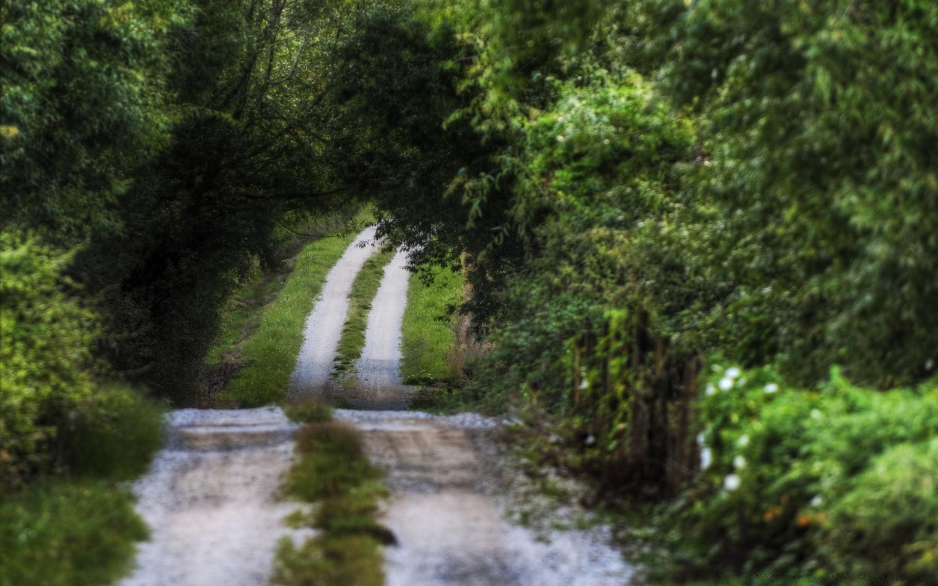 krajobrazy natura drewno krajobraz woda drzewo liść na zewnątrz środowisko rzeka lato malownicze bujne podróże flora park przepływ przewodnik sezon