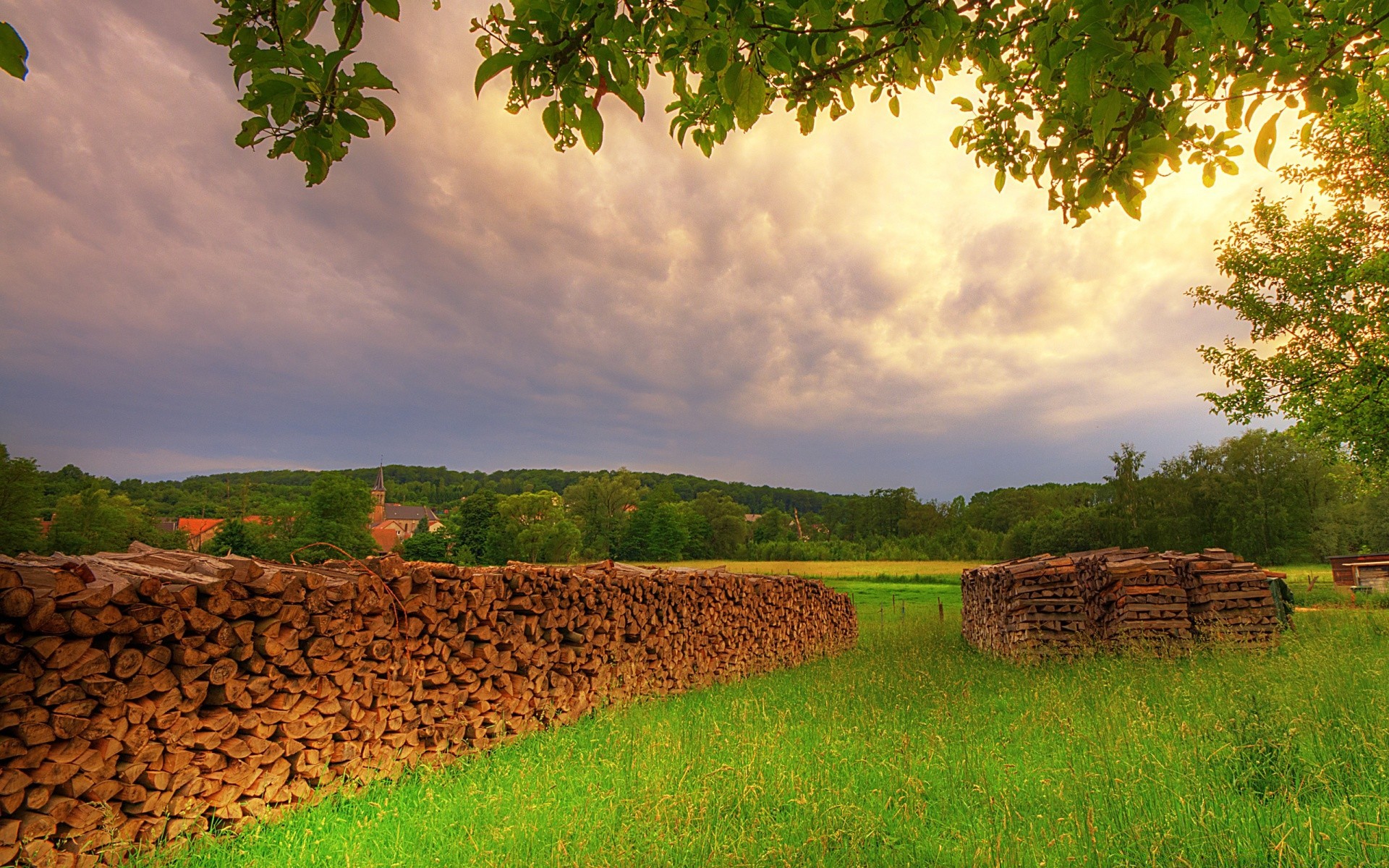 landscapes nature rural agriculture outdoors summer countryside landscape sky tree growth grass pasture field wood farmland leaf farm fair weather soil