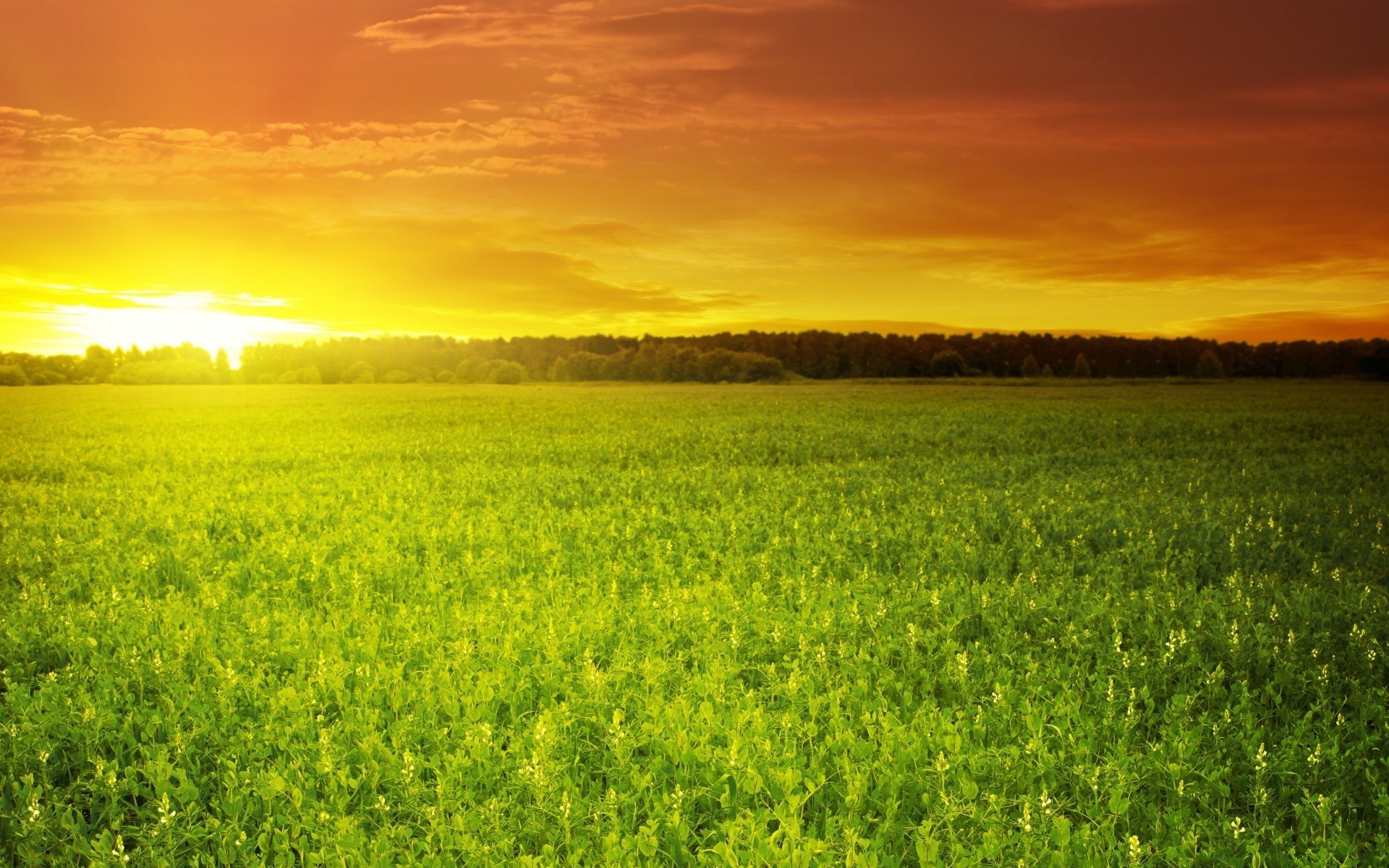 landscapes field rural nature landscape agriculture sun countryside summer fair weather sky grass dawn farm hayfield outdoors bright flora pasture environment