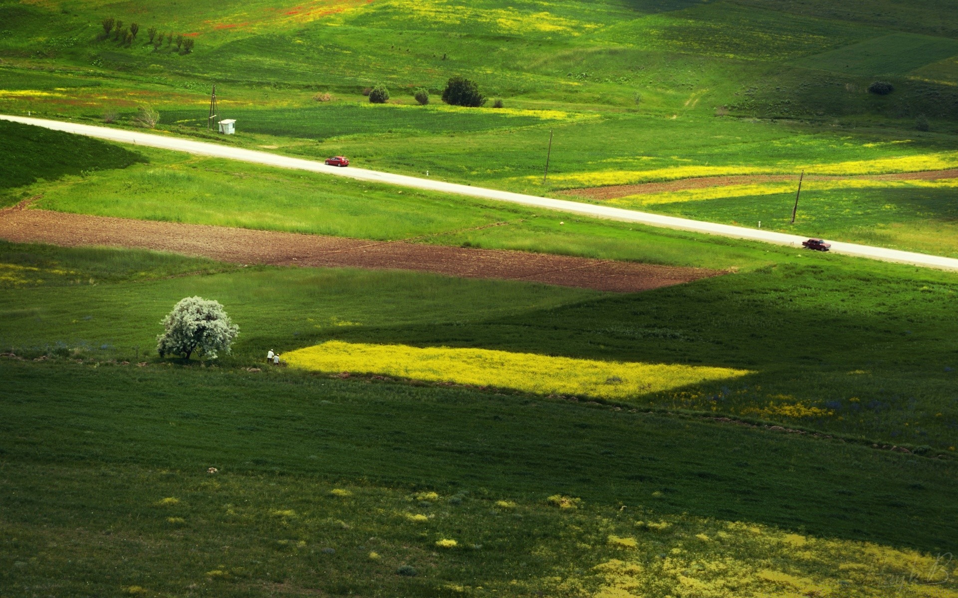 landscapes landscape grass nature field outdoors hayfield summer agriculture farm hill